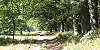 Die Nossentiner Heide