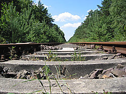 Draisinentour in Mecklenburg - Damerow bei 19395 Karow