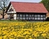 Brandenburger Landpartie