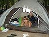 Lust auf Camping in Brandenburg?