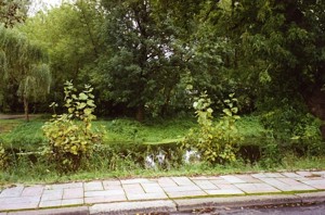 Der Nottekanal