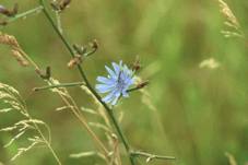 Tor zum Naturpark Nuthe-Nieplitz