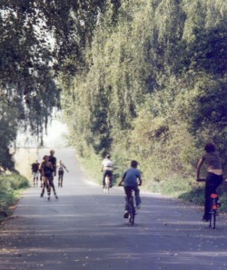 Cycle & Skater Triangle 
