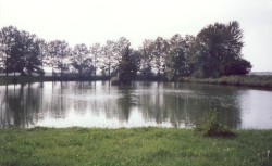 Die Dorfkirche in Gr�fendorf