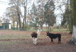 Heimattierpark Dahme / Mark