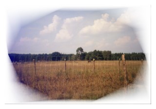 Wildpark Johannism�hle