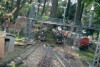 Eisenbahnen im Rangsdorfer Garten