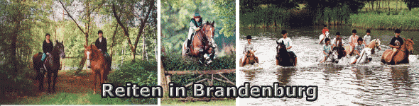 Brandenburg auf dem R�cken eines Pferdes erleben