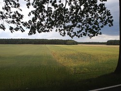 Naturpark Niederlausitzer Landr�cken