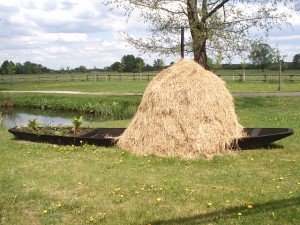 Biosph�renreservat Spreewald