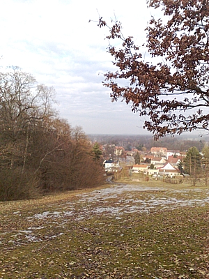 Weinanbau in Baruth?