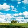 Augen-Blicke - Fotos aus der Uckermark