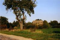 Uckermark - Toskana des Nordens ?