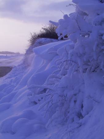 Winter Impression from the Uckermark