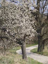 Hohenwalde in der Uckermark