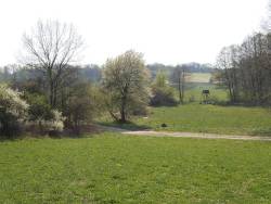 Hohenwalde in der Uckermark