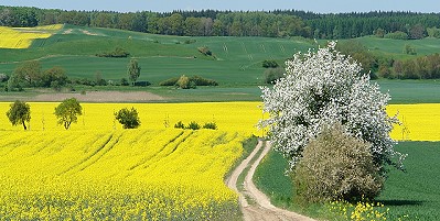 Ferienwohnungen in der Uckermark