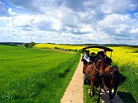 Ferienwohnungen in der Uckermark