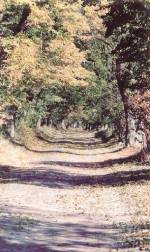 Gemeindeteile der Gemeinde Temmen-Ringenwalde