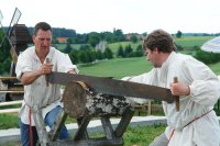 News about the Greiffenberger Mill