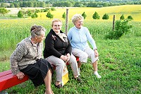 News about the Greiffenberger Mill
