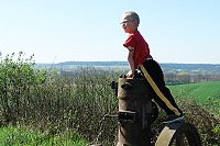 News about the Greiffenberger Mill