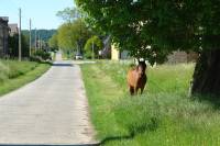 Hansfelde: n�rdlichstes Dorf der Uckermark