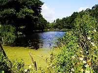 Wasserm�hle Gollmitz