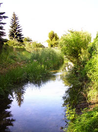 Prenzlau am Uckersee