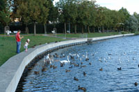 Prenzlau am Uckersee