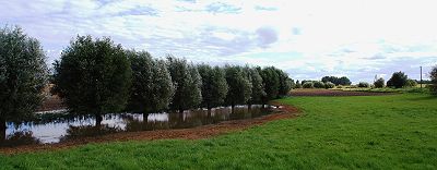 Uckermark-Naturschutzgebiete