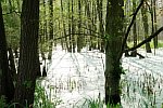 An der sch�nsten Stra�e der Uckermark 