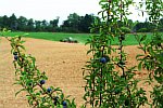 An der sch�nsten Stra�e der Uckermark 