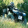 Quadfahren in Nordbrandenburg