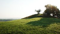 Der Wallpfad