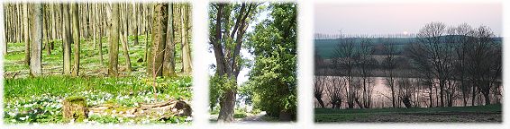 Nationalpark  Biosph�renreservat Schorfheide-Chorin