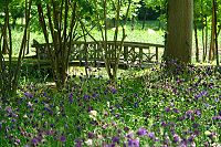 Nationalpark  Biosph�renreservat Schorfheide-Chorin