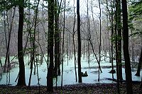 Nationalpark  Biosph�renreservat Schorfheide-Chorin