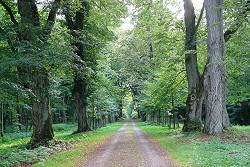 Die Parklandschaft mit der Eisenbahn