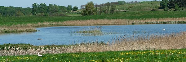 Naturpark Uckerm�rkische Seen