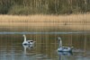 Naturpark Uckerm&auml;rkische Seen
