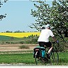 Teilstrecken aus dem Oder-Nei&szlig;e-Radweg durch die Uckermark