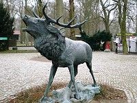 Tierpark Angerm�nde