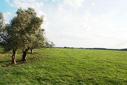 Die Klosterhalbinsel