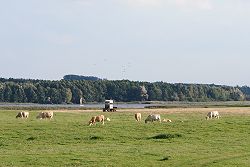 Die Klosterhalbinsel