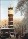Hohes Gras im Habichtswald