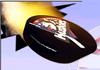 Kassel Huskies Spielplan