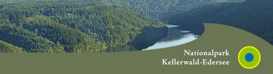 Nationalpark Kellerwald Edersee
