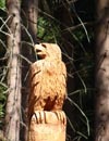Naturtheater Steinbach-Langenbach 