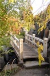 Erfurt - Der Japanischer Fels- und Wassergarten